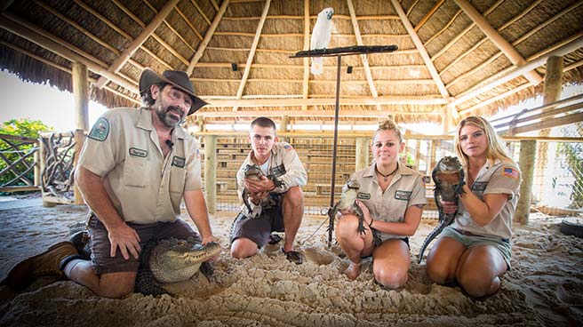Everglades Airboat Rides, Airboat Tours, Gator Shows